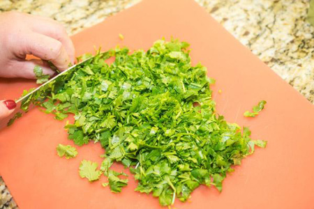 Coriander