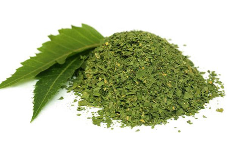 neem
